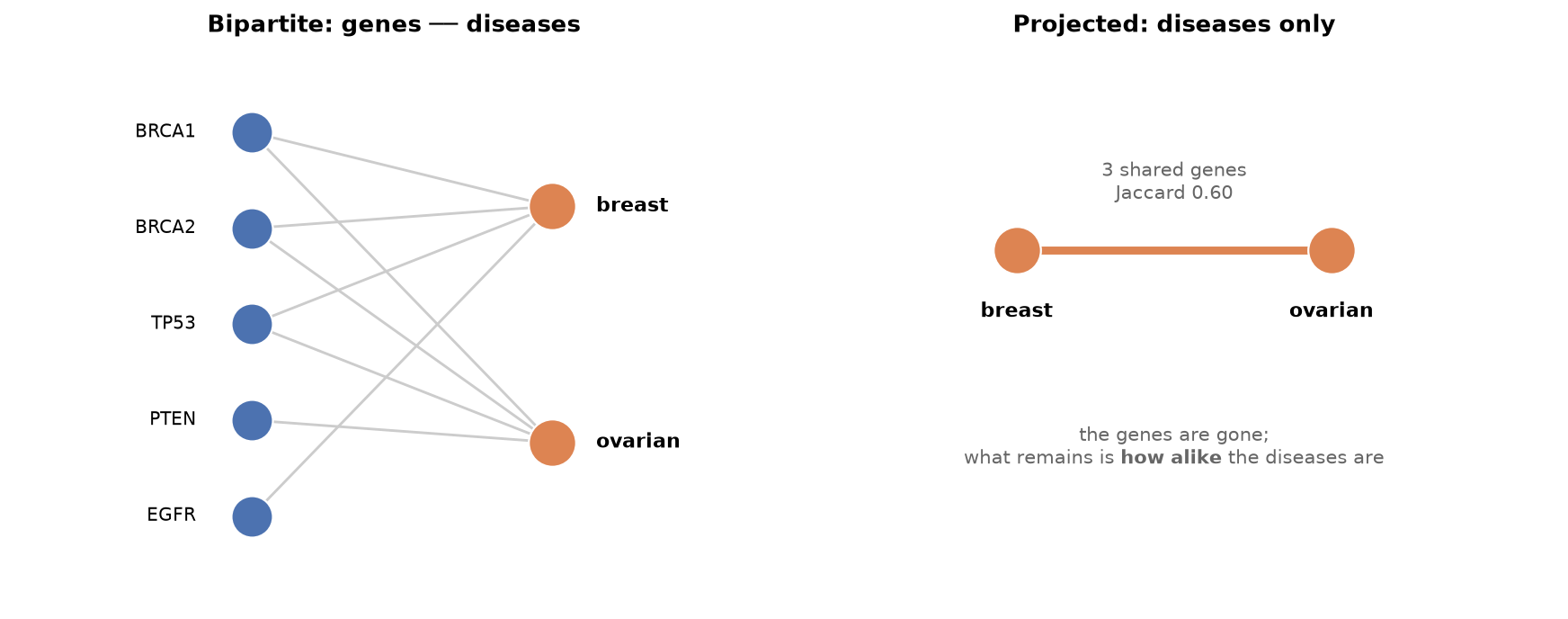 Bipartite projection