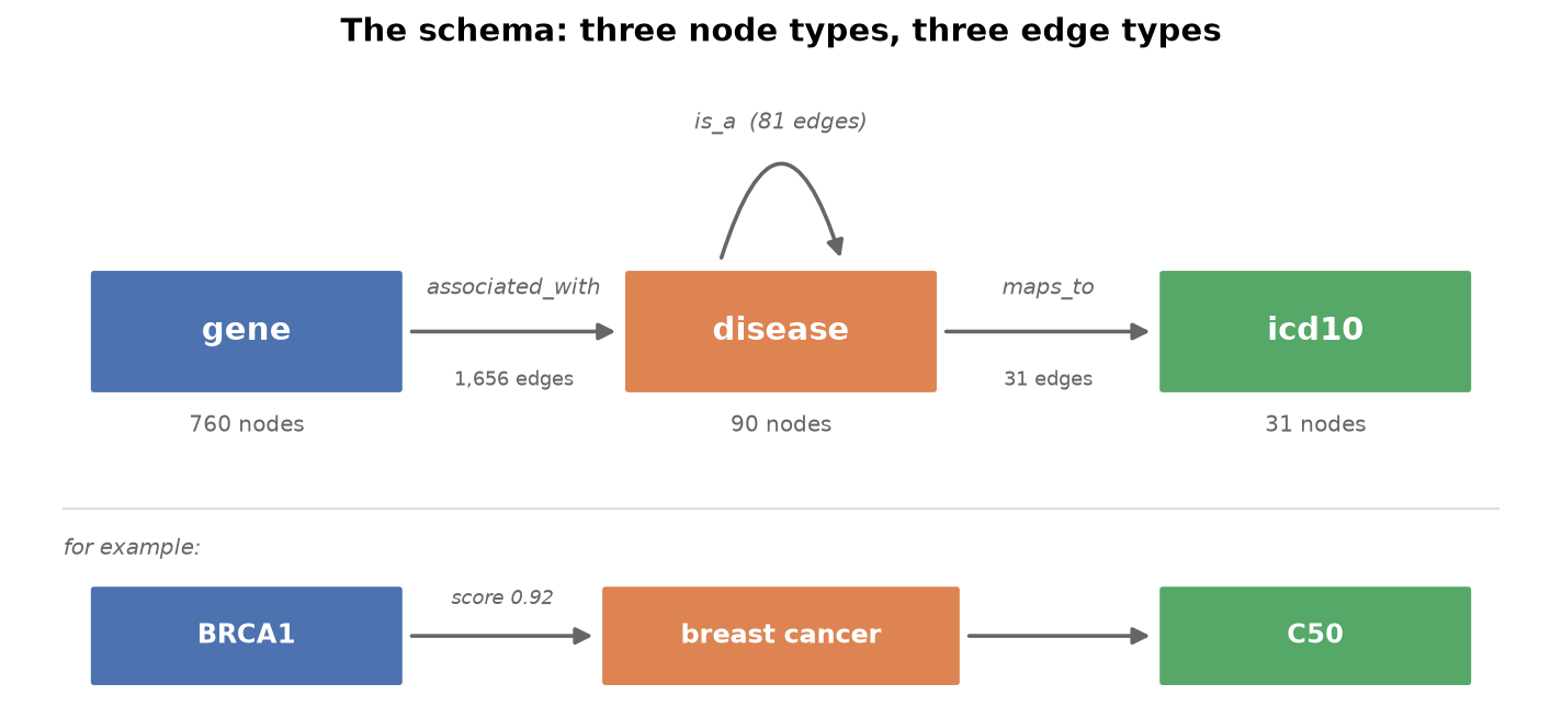 Knowledge graph schema